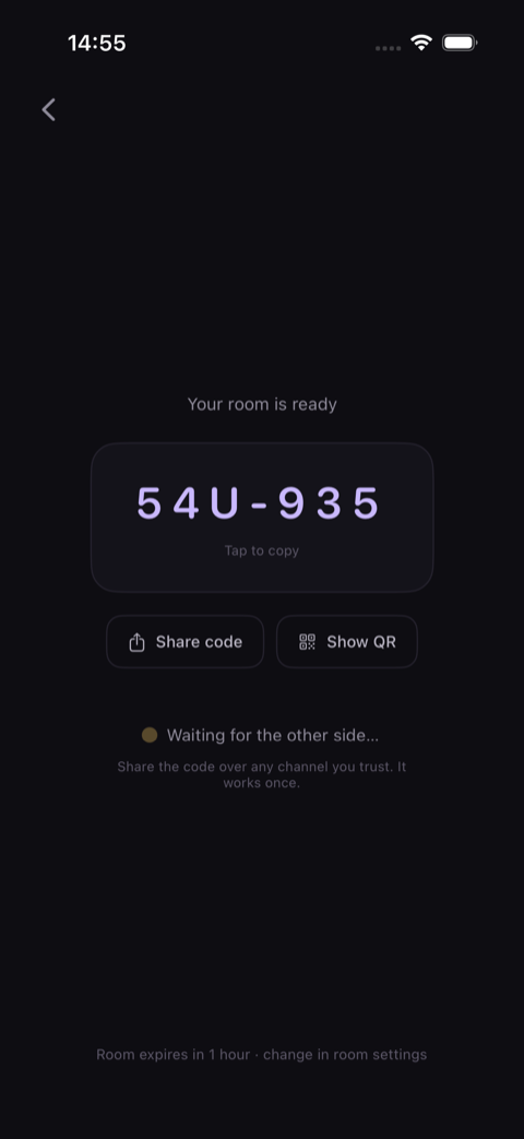 Sotvo's room-ready screen on iOS: the six-character one-time code 54U-935 centered on an otherwise empty waiting screen, with a one-hour expiry line at the bottom.
